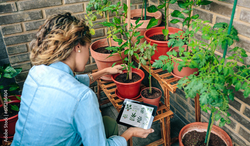Unrecognizable young woman using gardening app with artificial intelligence to care plants of her urban garden on terrace of residential apartment