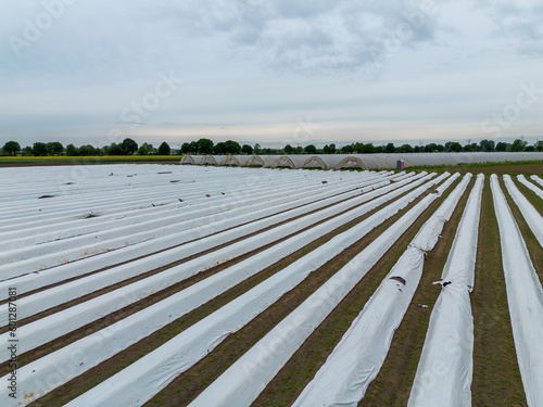 Asparagus and strawberry fields under plastic film and a tunnel near Weiterstadt recorded from above with a drone