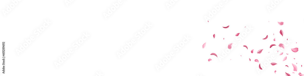 Obraz premium Pink Petal Beauty Vector White Panoramic
