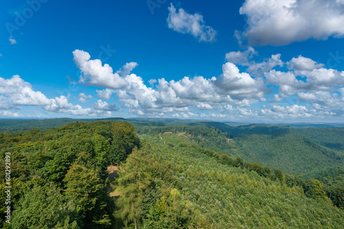 Blick vom Luitpoldturm bei Merzalben über den Pfälzerwald, Region Pfalz im Bundesland Rheinland-Pfalz in Deutschland