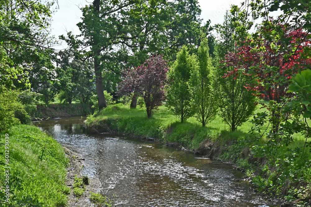 Parco lago e giardini di Milano 3 - Basiglio, Milano Parco lago e giardini di Milano 3 - Basiglio, Milano