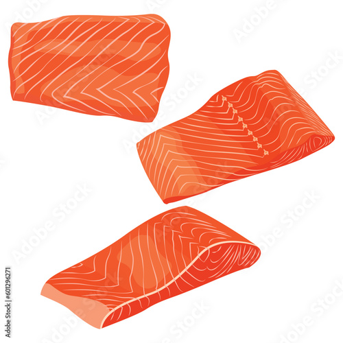 Vector illustration of fresh raw salmon, trout, tuna fillet. Fresh delicious seafood meat cartoon drawing for digital resources.