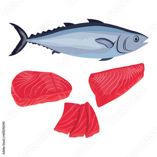 Vector illustration of fresh raw salmon, trout, tuna fillet. Fresh delicious seafood meat cartoon drawing for digital resources.