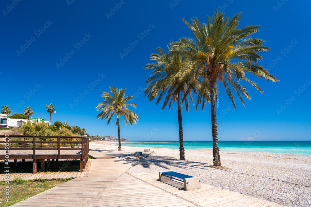 The promenade of the Mediterranean Sea on a sunny day in spring. Palm trees and benches among stylish houses in the province of Castellon