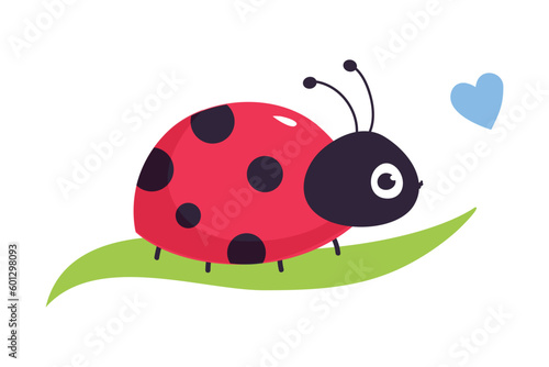 Cute ladybug sitting on green leaf. Funny little ladybird insect cartoon vector illustration