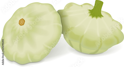 Group of White Patty Pan squash or Scallop or Scallopini squash. Summer squash. Cucurbita pepo. Fresh, organic, raw fruits and vegetables. Vector illustration isolated on white background.