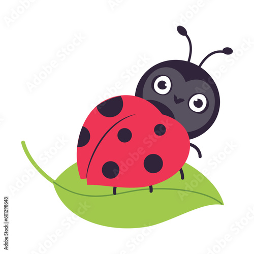 Cute little ladybug insect sitting on leaf cartoon vector illustration