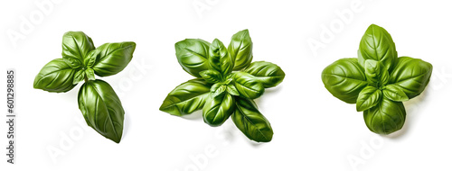 A vibrant green Basil bunch sits on a pristine white background, created by Generative AI