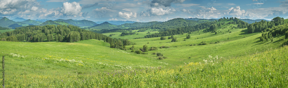 Panoramic view of green meadows and hills on a summer day, cloudy sky