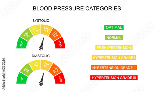 Blood pressure systolic and diastolic charts as dial dashboards with arrows. Hypertension test infographic tool isolated on white background. Vector flat illustration photo