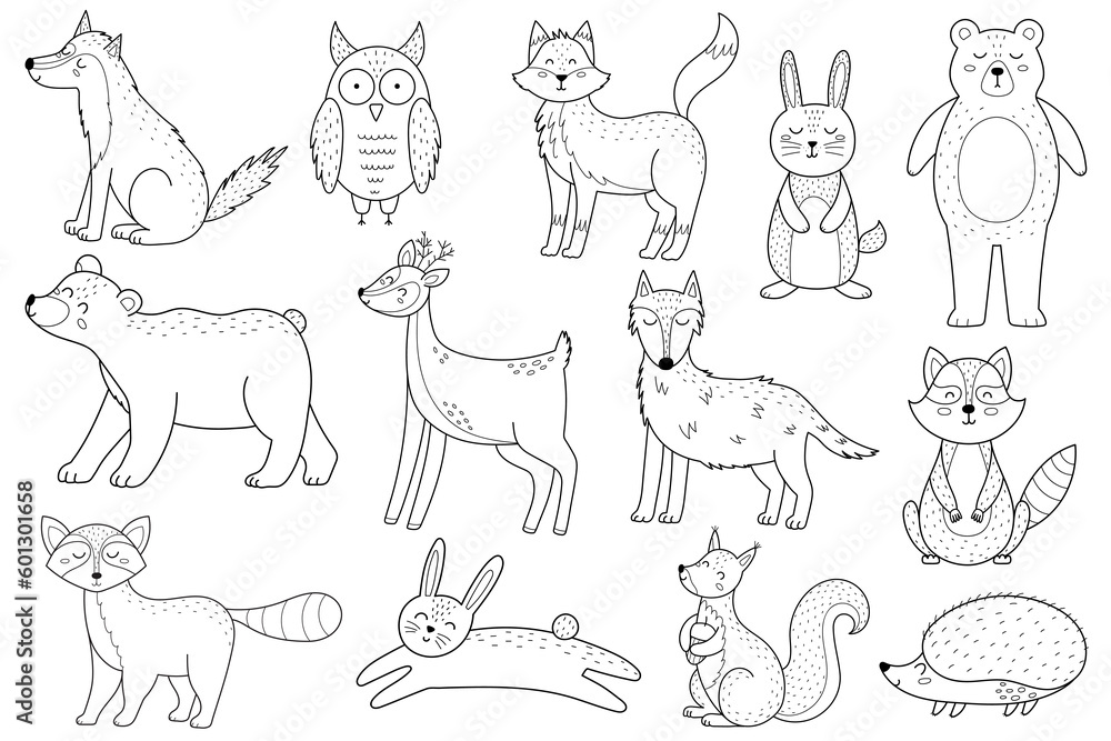 Cute forest animals set in black and white. Woodland characters outline collection with fox, bear, wolf, rabbit and others for coloring book. Vector illustration