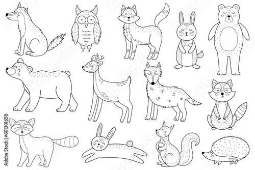 Cute forest animals set in black and white. Woodland characters outline collection with fox, bear, wolf, rabbit and others for coloring book. Vector illustration
