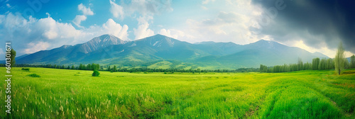 summer panorama of the field and the blue sky in the mountains. High quality Generative AI