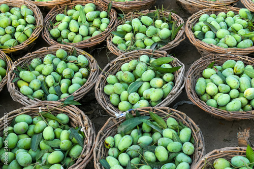 raw organic mangoes in the baskets in fruit market for sale in mango season 