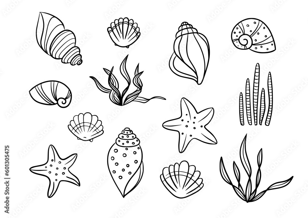 Sea shell starfish and seaweed silhouette vector icon set. Line pattern sea hand drawn contour isolated on white background. Black marine beach graphic elements. - obrazy, fototapety, plakaty 
