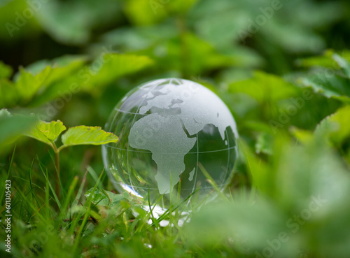  glass earth globe in green grass