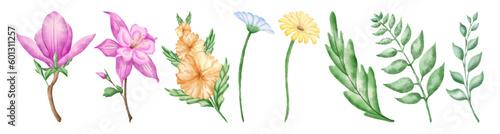 A collection of pink, yellow flowers, leaves painted in delicate watercolor