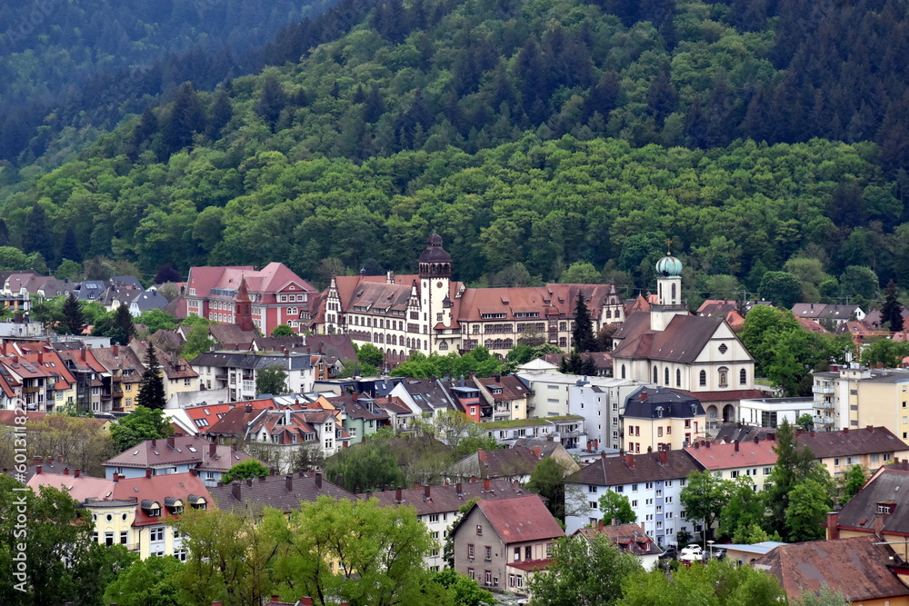 Der Osten von Freiburg im Frühling