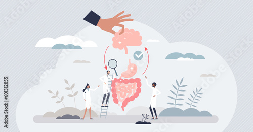 Gut brain axis as emotional feeling and bowel connection tiny person concept. Interaction between mood and intestine or stomach micro flora health vector illustration. Gastrointestinal influence.