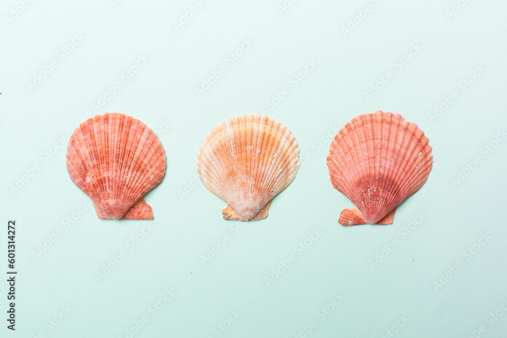 Fototapeta premium Sea shells on color background, top view
