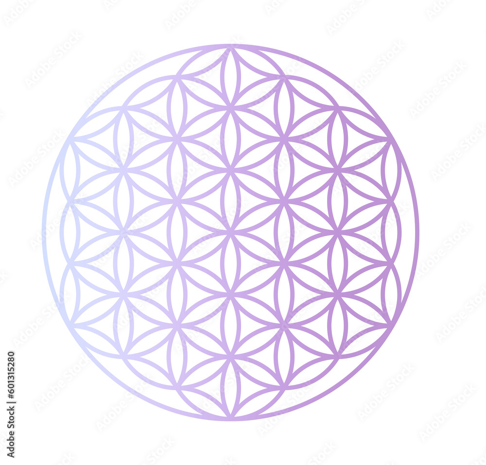 flower of life gradient, manifest, journal, wellness, gratitude journal, spiritual, isolated, ready to print flower of life gradient, manifest, journal, wellness, gratitude journal, spiritual, isolated, ready to print