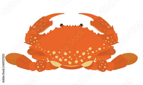 ワタリガニのイラスト
