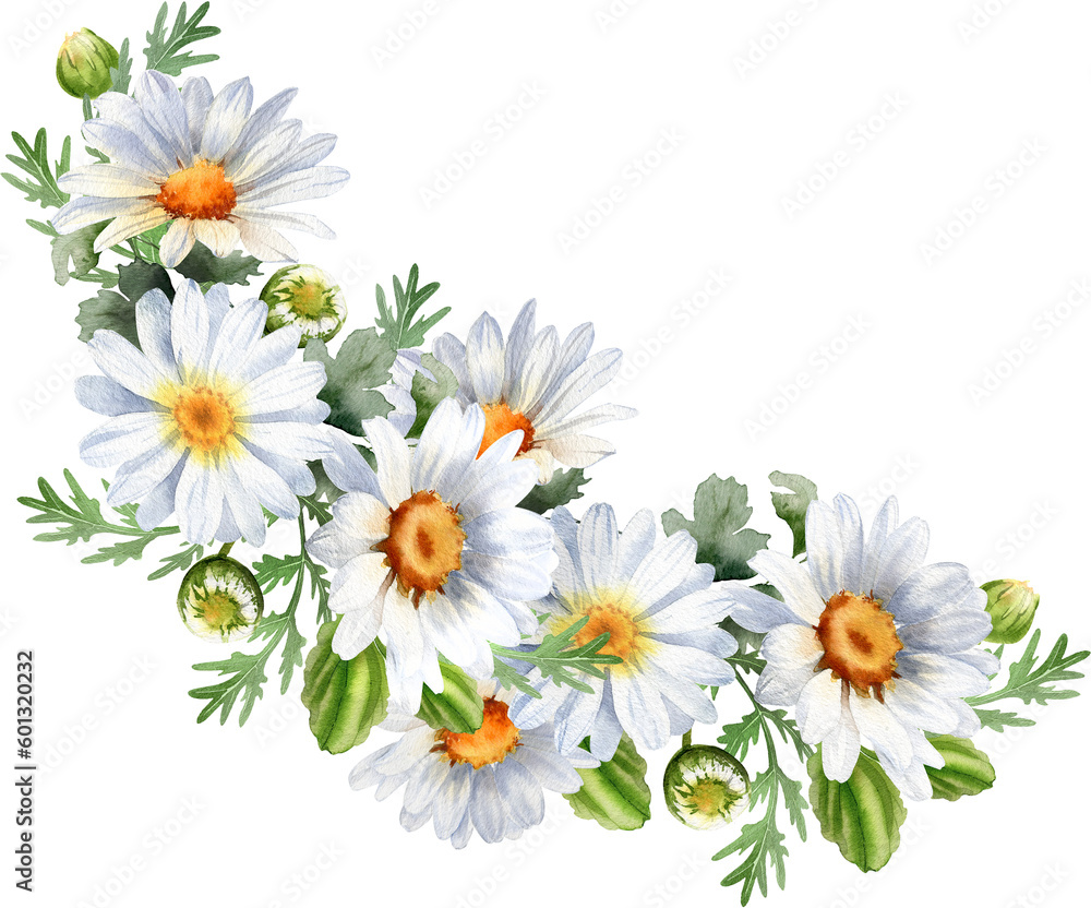 Fototapeta premium Bouquet of chamomile daisy flowers. Floral wreath. Wildflowers for wedding invitations and greeting cards. Watercolor illustration. Rustic flower 