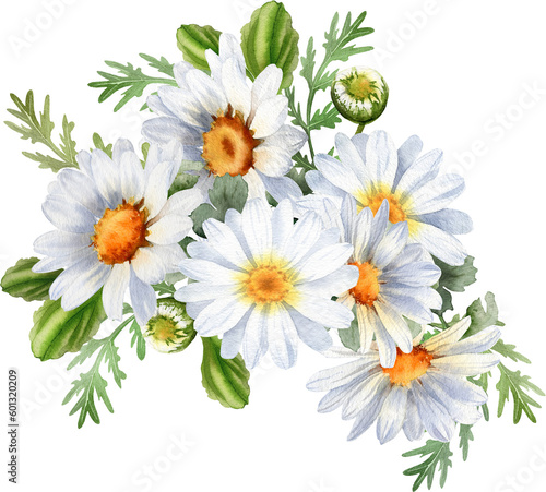 Bouquet of chamomile daisy flowers. Wildflowers for wedding invitations and greeting cards. Watercolor illustration. Rustic flower 