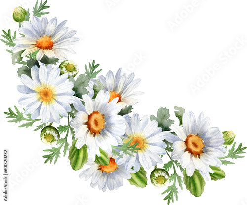 Bouquet of chamomile daisy flowers. Floral wreath. Wildflowers for wedding invitations and greeting cards. Watercolor illustration. Rustic flower 