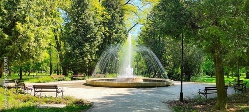 fountain in the garden Fontanna w parku