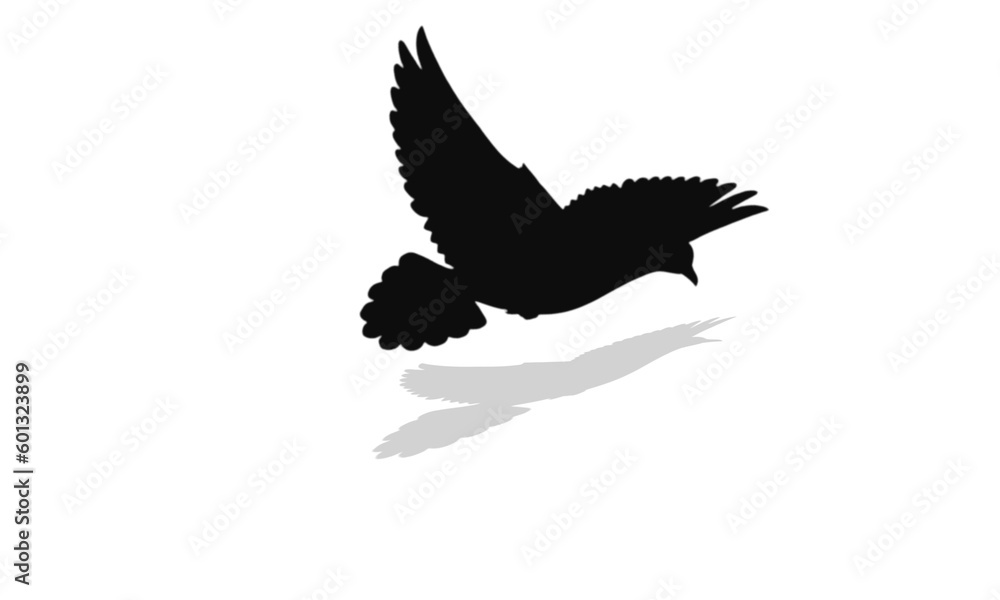 Obraz premium eagle silhouette isolated on white