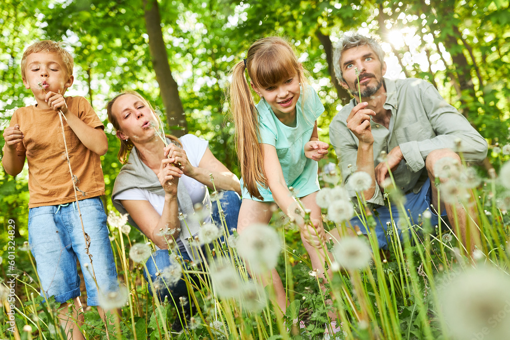 Fototapeta premium Girl with family blowing dandelions together in forest