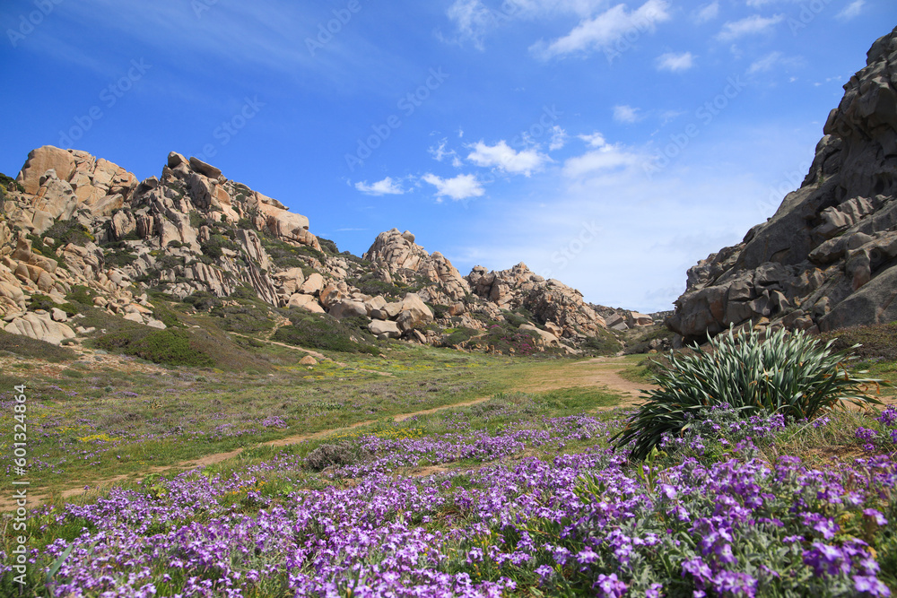 The granite formation in Capo testa - the valley of the moon in spring, Sardinia The granite formation in Capo testa - the valley of the moon in spring, Sardinia