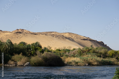 Paesaggio caratteristico della zona nubiana in Egitto  riva del Nilo  vegetazione  palme e dune di sabbia 