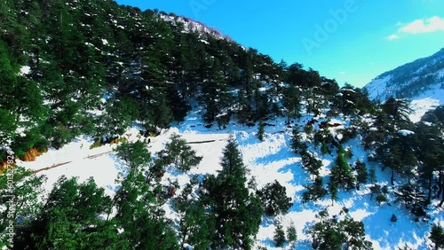 Aerial view of a green trees mountain range in Tikejda Algeria, with the snow mountain peak under the blue sky photo