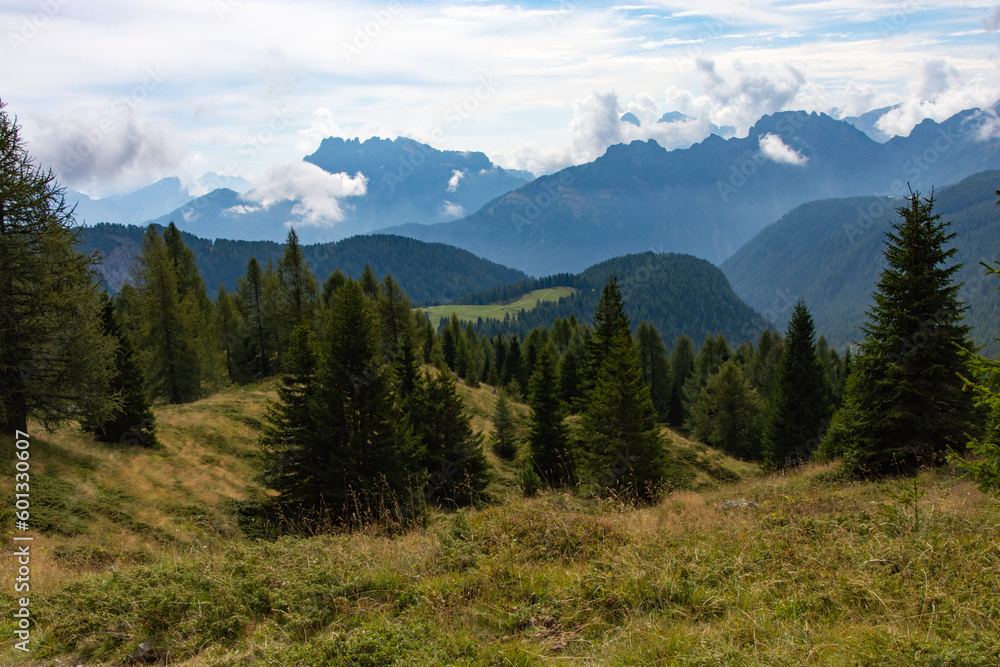 Passo San Pellegrino, Trentino Alto Adige 