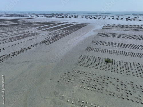 Aerial view of Oyster farm. Sustainable farming. Oyster farming is an aquaculture practice. Oyster farming at Ang Sila town, Chonburi, Thailand. Landscape oyster beds at low tide on summer sunny day.