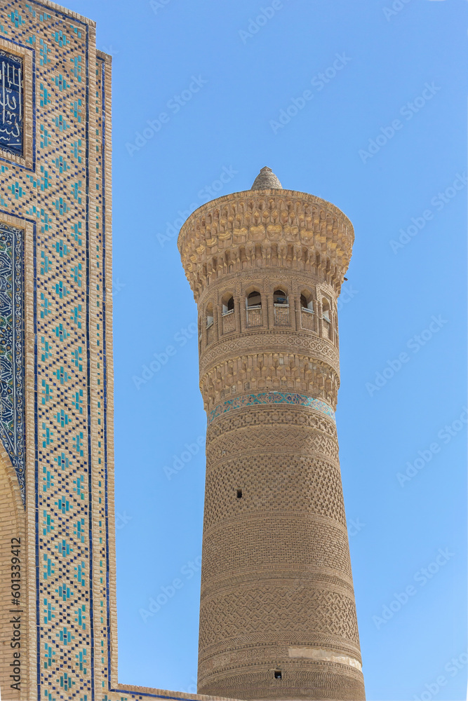 Obraz premium Kalyon minar great minaret, Buhkara, Uzbekistan. Vertical shot