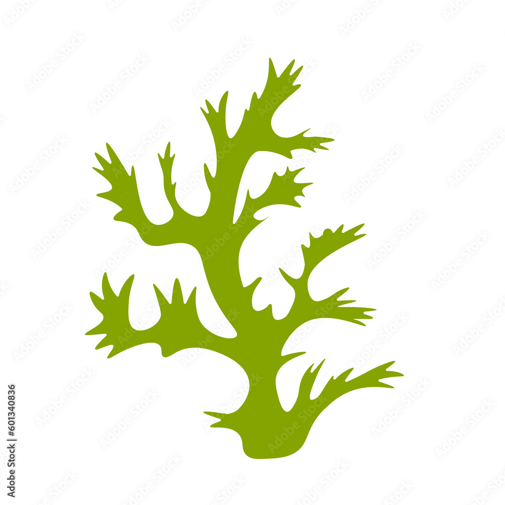 corals seaweeds isolated on transparent background. PNG corals seaweeds isolated on transparent background. PNG