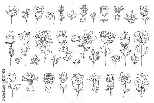 This vector stock illustration features a collection of delicate plants and flowers drawn in a minimalist thin line style. Each depiction is intricately detailed