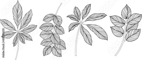 Abstract leaves isolated on white collection. Tropical leaves set. Hand drawn vintage illustration.