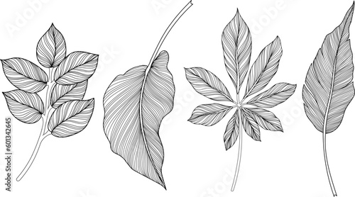 Abstract leaves isolated on white collection. Tropical leaves set. Hand drawn vintage illustration. © ARTSTOK