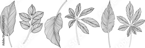 Abstract leaves isolated on white collection. Tropical leaves set. Hand drawn vintage illustration.