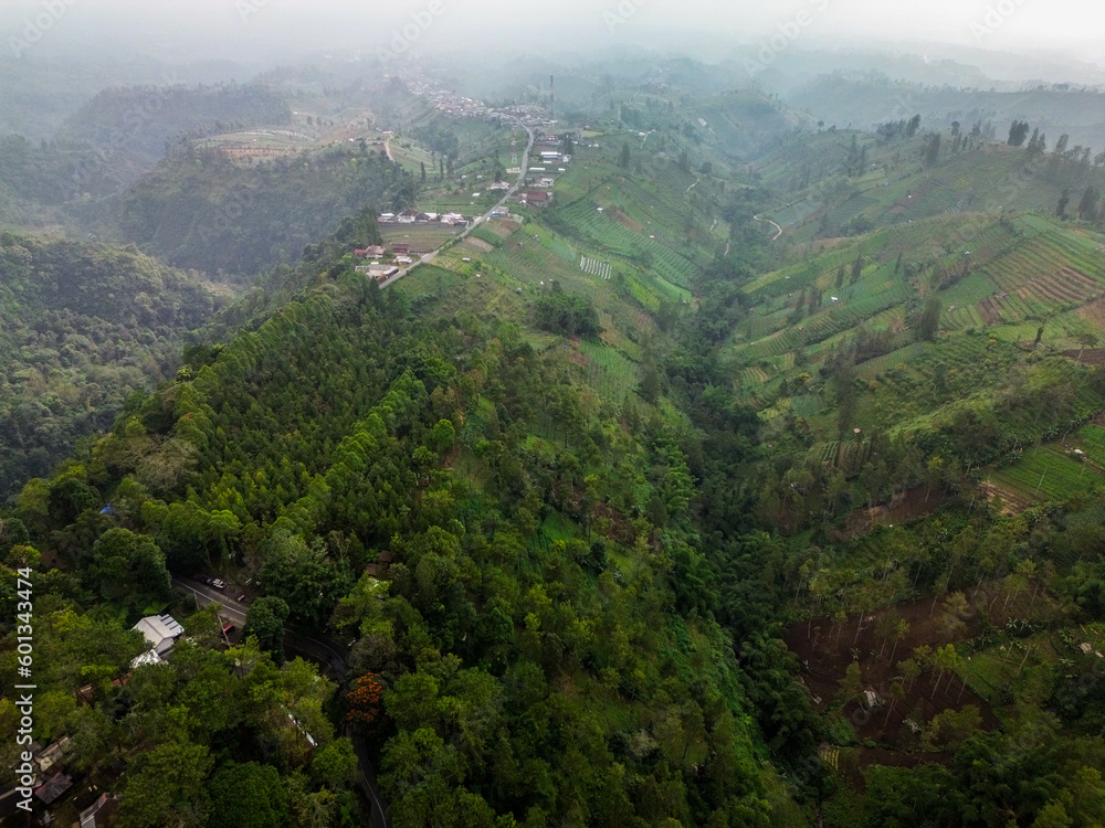 Fototapeta premium aerial photo of mountains bromo conservation area