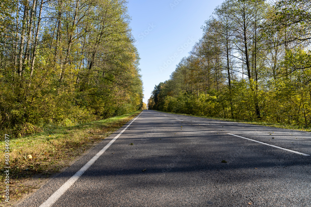 Fototapeta premium Yellowing foliage in the autumn season