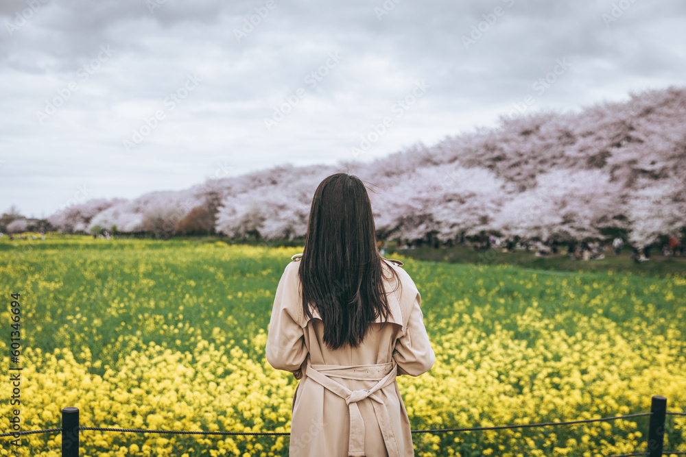 Traveler asian woman travel in sakura cherry blossom tree in Gongendo park Saitama Japan in spring season Traveler asian woman travel in sakura cherry blossom tree in Gongendo park Saitama Japan in spring season