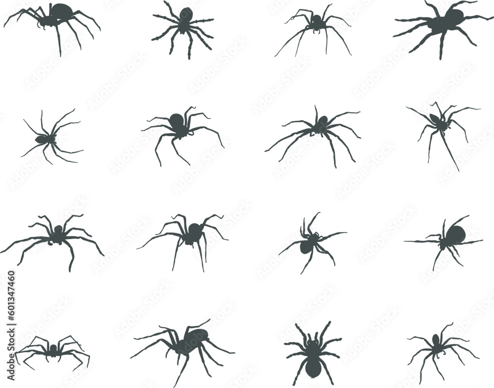 Spider silhouette, Spider SVG,  Spider silhouettes, Spider vector icon.