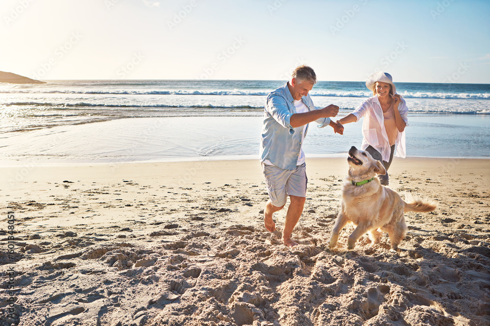 Happy couple, holding hands and at the beach with a dog in summer for retirement travel in Indonesia. Smile, playful and an elderly man and woman on a walk at the sea with a pet for play and holiday - obrazy, fototapety, plakaty 