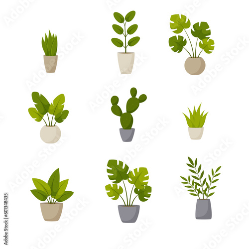 Set of plants in pots. Vector illustration.	