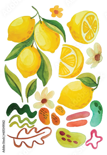 Fototapeta Naklejka Na Ścianę i Meble -  lemon or lime elements clip art watercolor hand draw